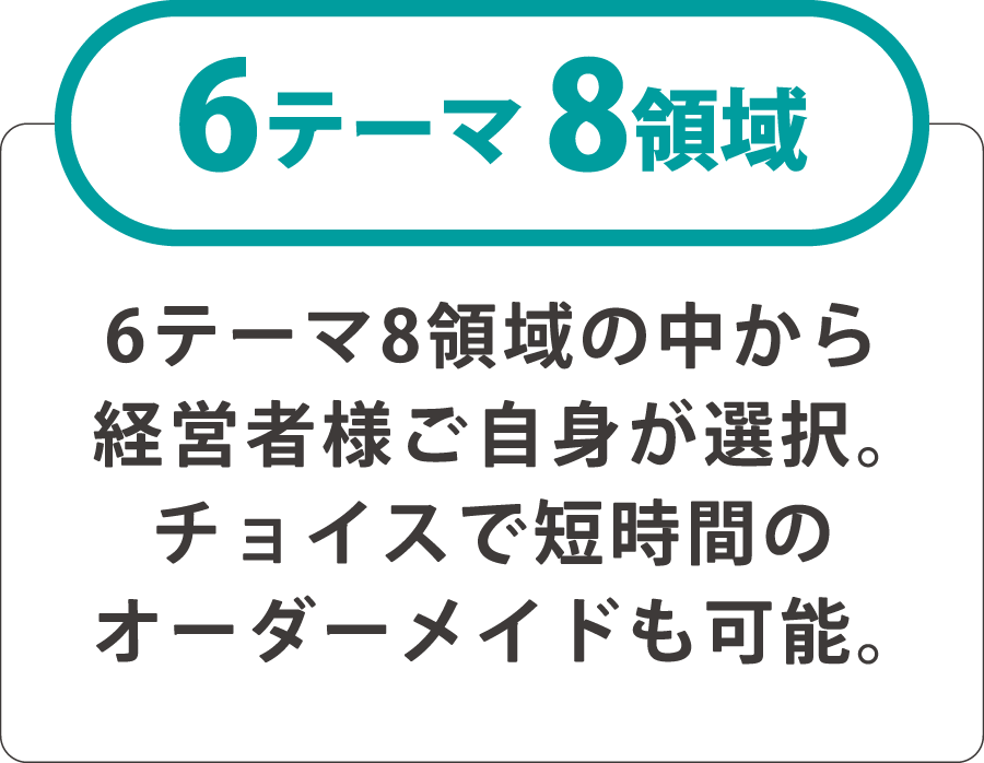 6テーマ8領域の中から経営者様ご自身が選択。チョイスで短時間のオーダーメイドも可能。